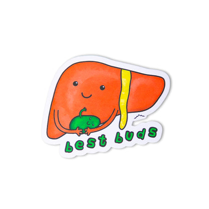 Pack de Stickers Avila