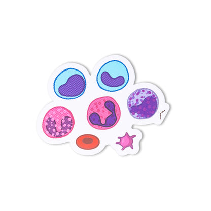 Pack de Stickers Avila